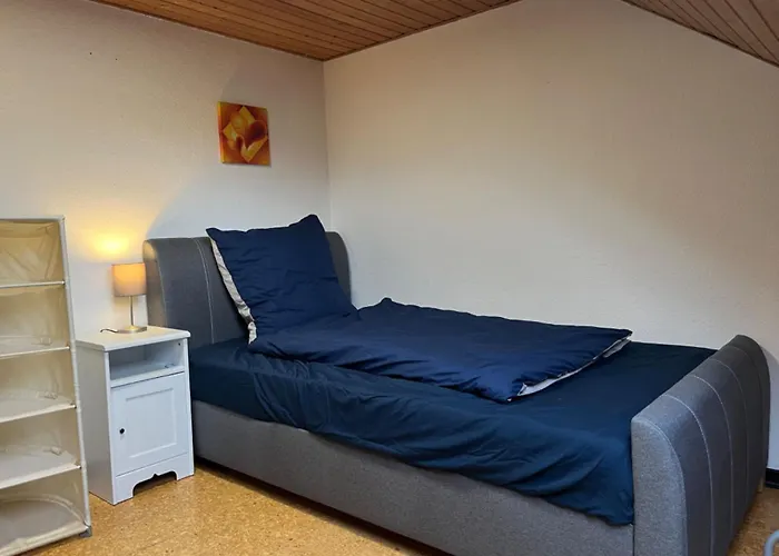 Beishan Appartements Nuernberg In Zentrum Dachgeschoss